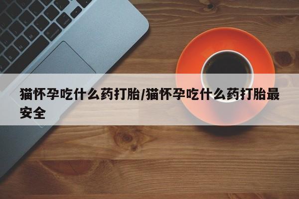 米非米索购买联系猫怀孕吃什么药打胎/猫怀孕吃什么药打胎最安全