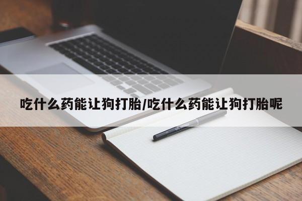 米非米索购买联系吃什么药能让狗打胎/吃什么药能让狗打胎呢
