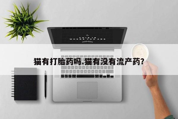 米非米索购买联系猫有打胎药吗.猫有没有流产药？