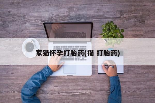 米非米索购买联系家猫怀孕打胎药(猫 打胎药)